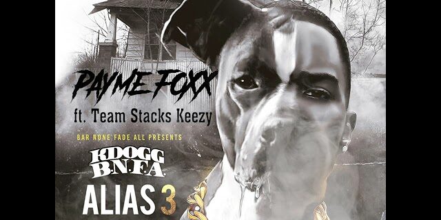 Payme Foxx 3 feat Team Stackz Keezy (Visualizer)